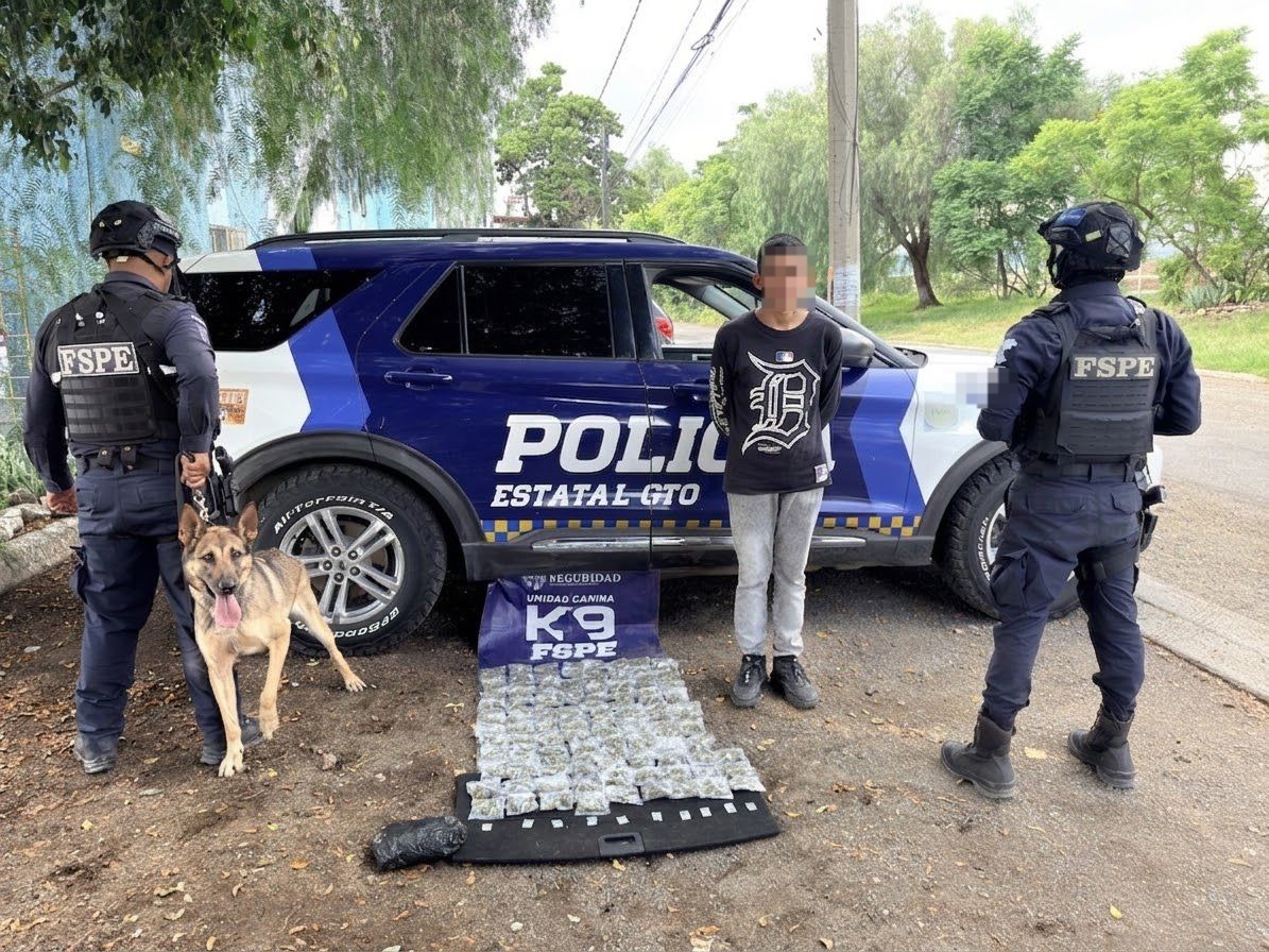 León: Binomio canino 'Evetk' asegura mil dosis de droga decomisada