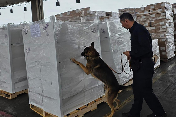 Morelia: Aseguran más de 1 tonelada de metanfetamina y 10 kg de fentanilo