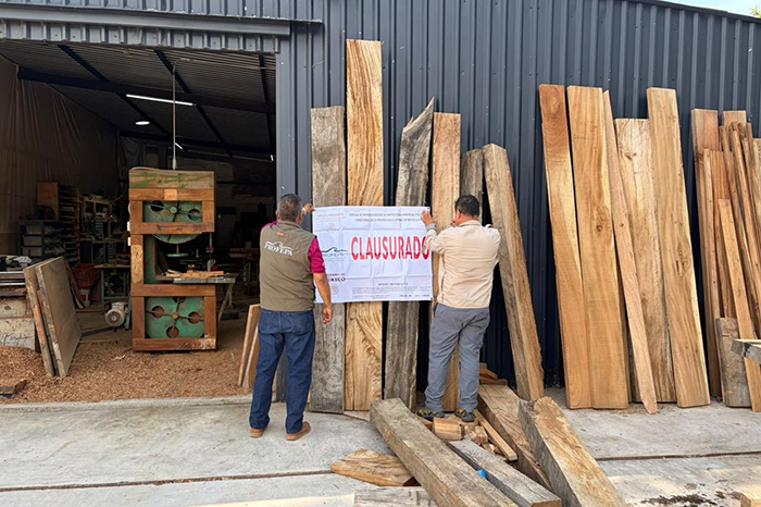 Morelia: FGE cierra bodega ilegal de madera tras operativos
