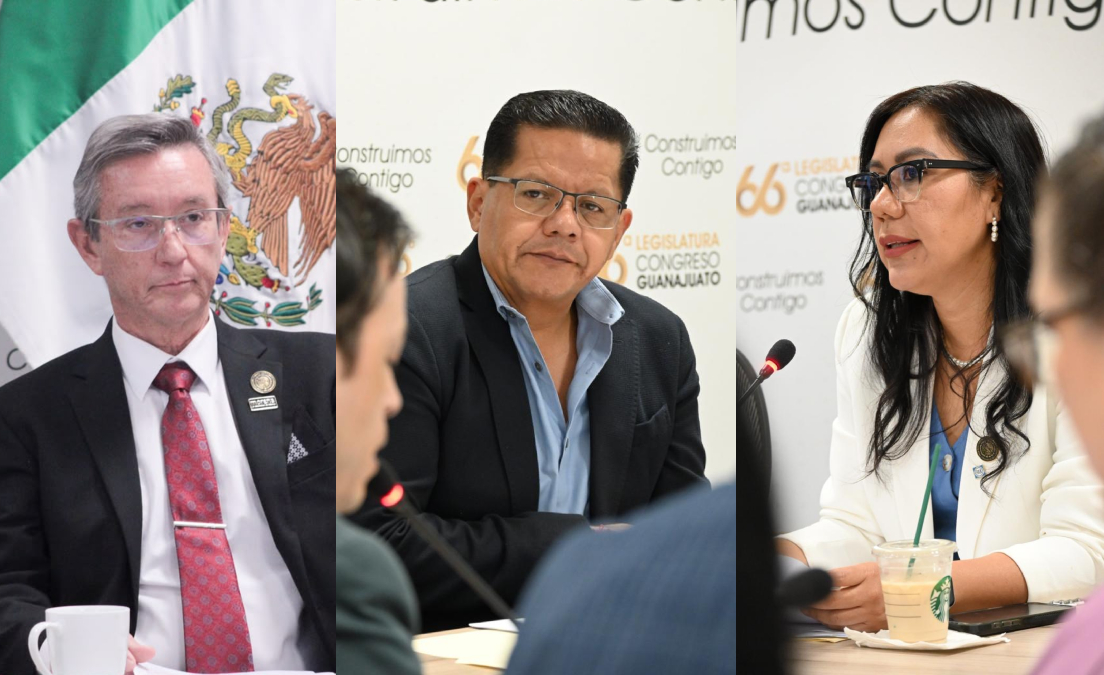 Morena: Acusa desacato por aborto en Guanajuato, PAN defiende postura