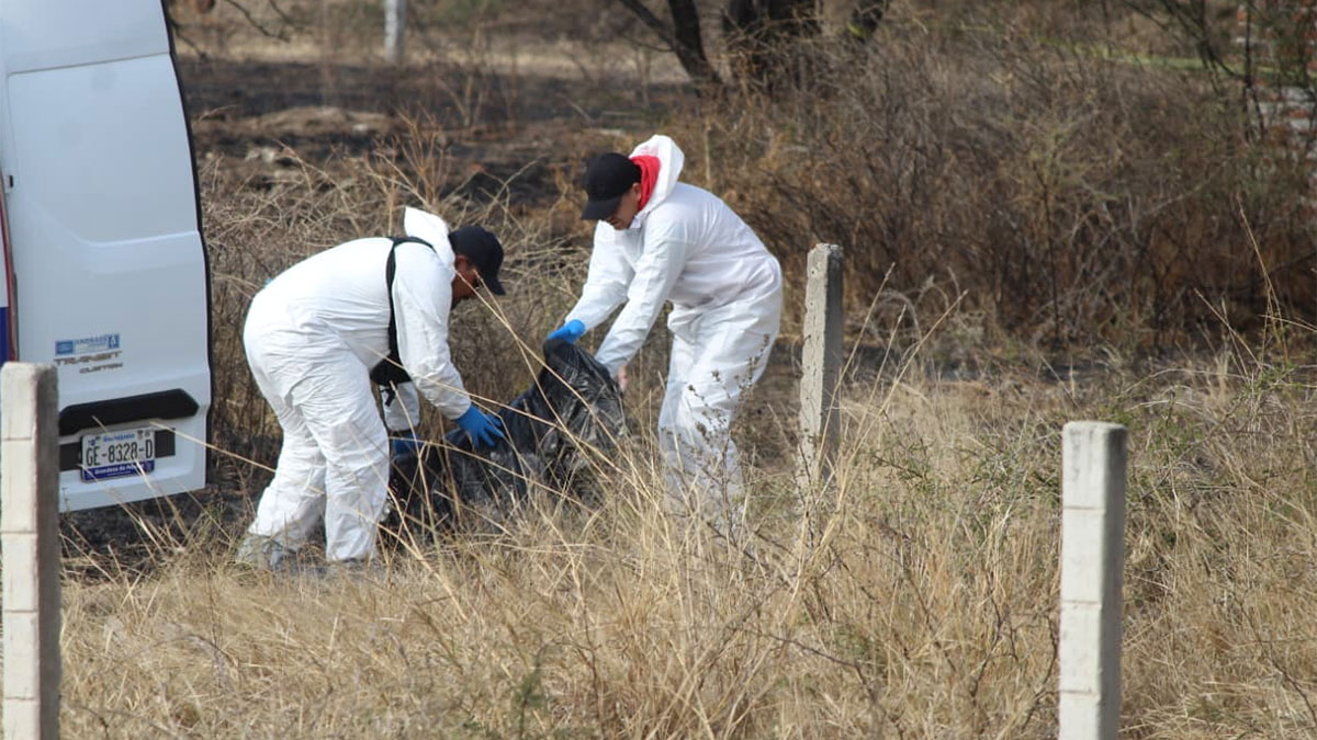Silao: Encuentran cuerpo con signos de violencia en un predio