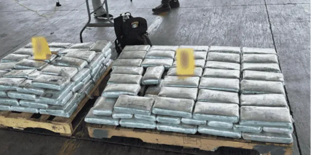Sonora y Baja California: Aseguran 341 kilos de drogas por autoridades federales