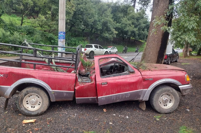 Tacámbaro: Colapso de pino provoca accidente vehicular con 4 heridos