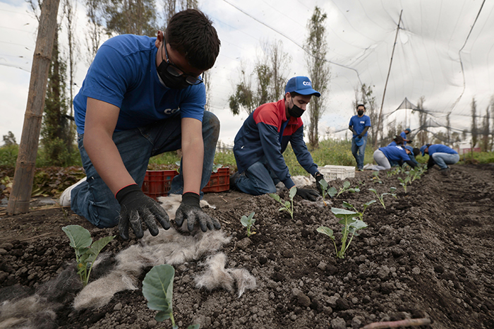 Xochimilco: Cabello reciclado como recurso para limpiar canales