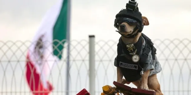 Chihuahua: Comando Chihuahua, la unidad más popular de la Guardia Nacional