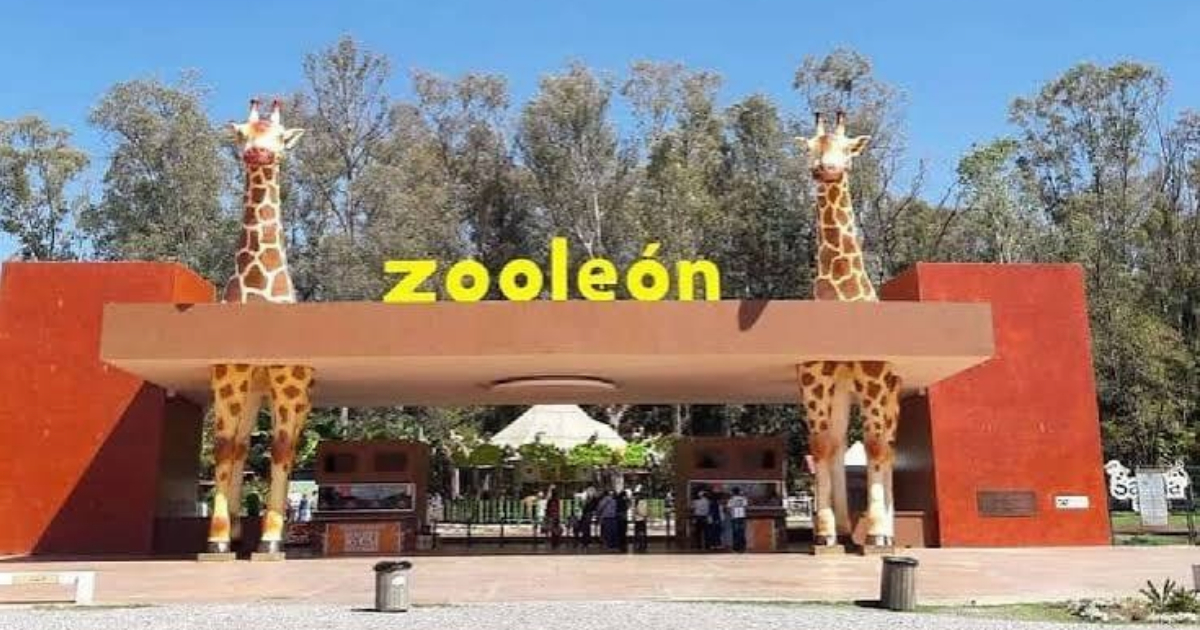 Profepa revisa Zoológico de León; faltan resultados