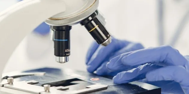 FDA concluye investigaciones sobre Salmonella y Cyclospora en México