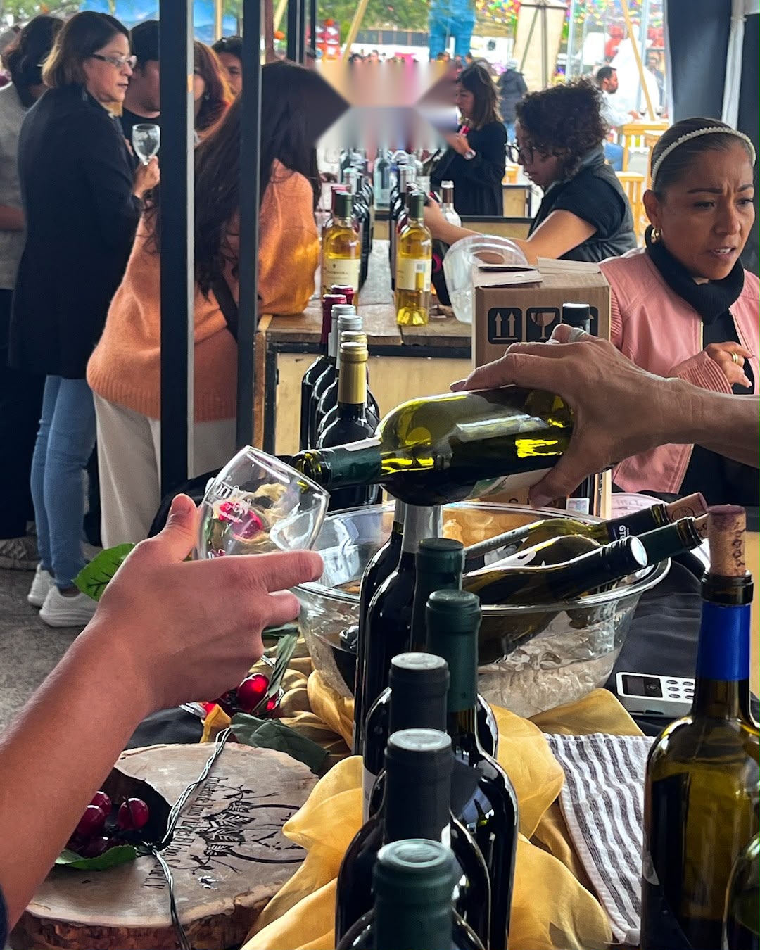 Guanajuato: Concluyen Fiestas de Vendimia 2026 entre calabazas