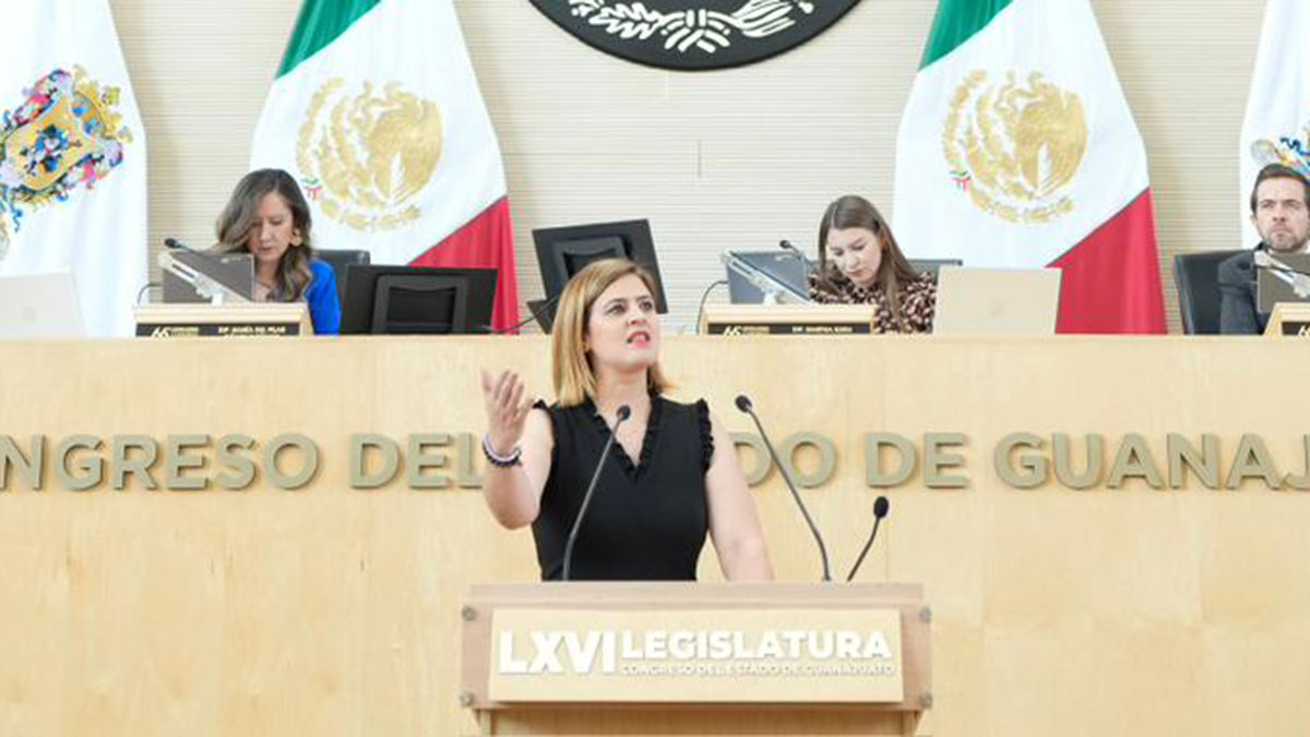 Guanajuato: Proponen cambiadores de pañales en plazas comerciales