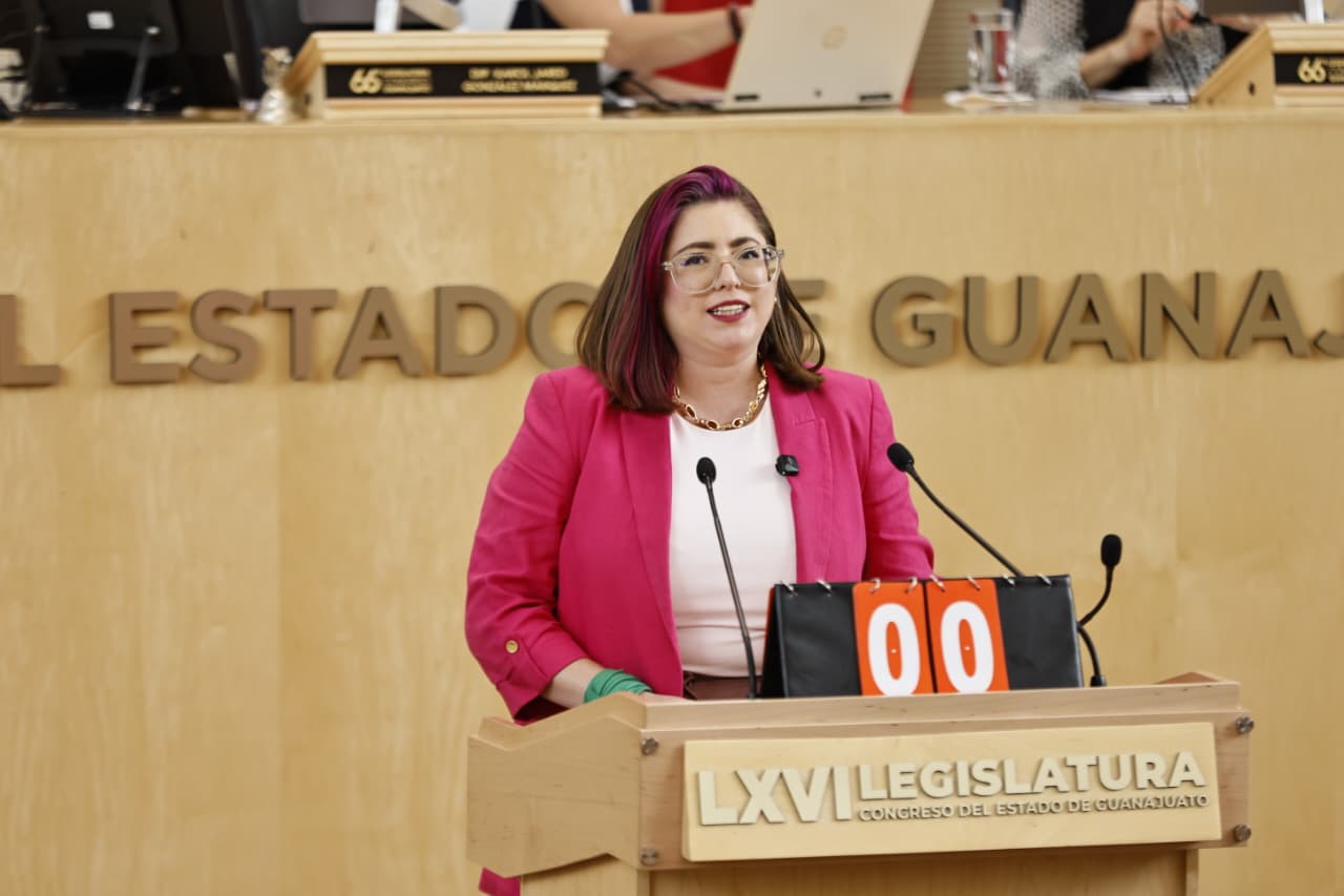 Guanajuato: Solicitan a SCJN despenalizar el aborto