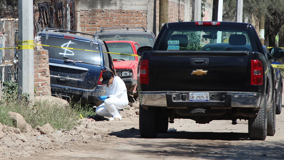 Hallazgo de feto de perro en Providencia genera conmoción en León