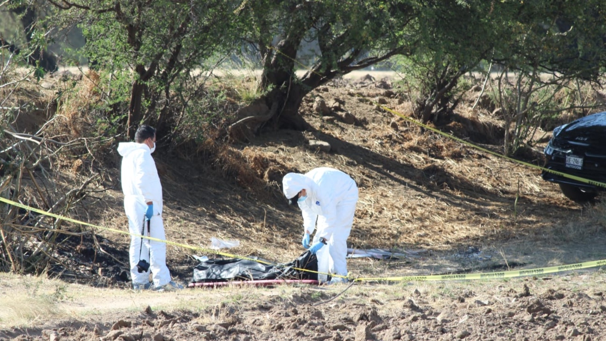 León: Madres buscadoras encuentran restos humanos en Barretos