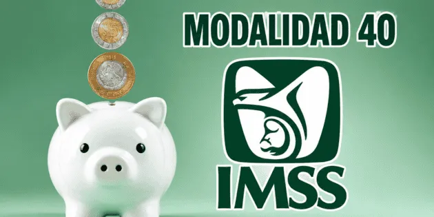 México: Aspectos clave sobre la Modalidad 40 del IMSS