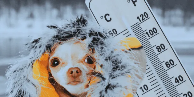Monterrey: El frente frío 2 impactará la temperatura en horas próximas