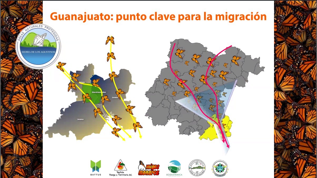 Procuraduría Ambiental en Guanajuato: Charla sobre Travesía Monarca 2026