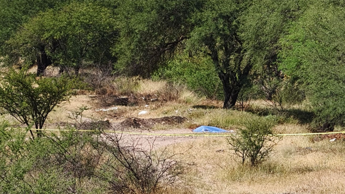 Silao: Hallan cuerpo de víctima con impacto de bala en El Espejo
