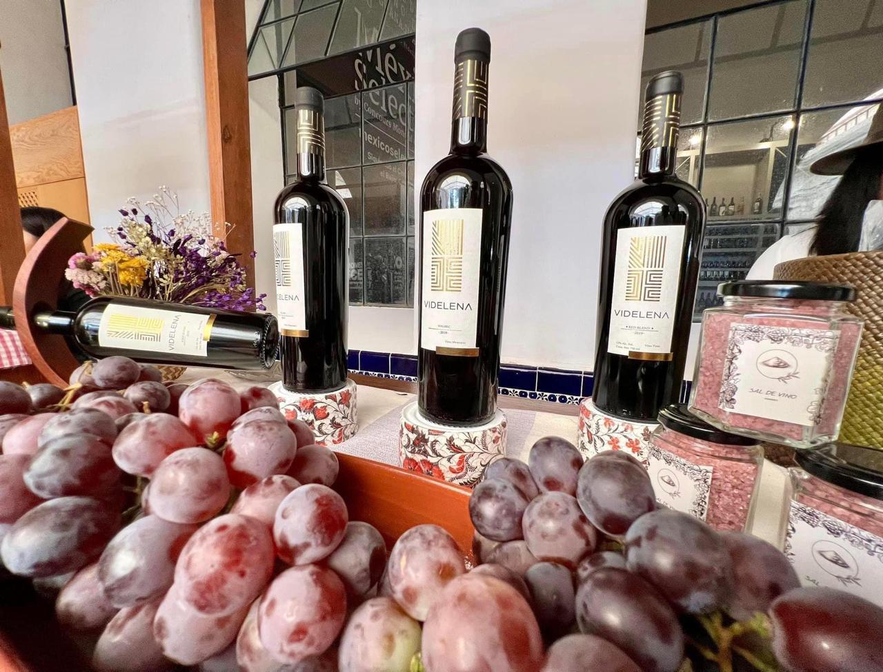 Vendimia Fest: fecha, precio y actividades en Jalisco
